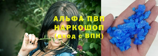 стафф Вяземский