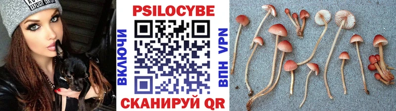 Псилоцибиновые грибы Magic Shrooms  kraken рабочий сайт  Еманжелинск  магазин   